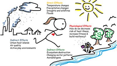 factors exercising frontiersin adaptation